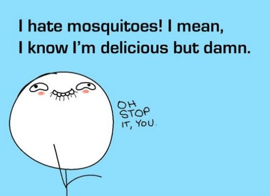 i hate mosquitoes, mosquitoes love me