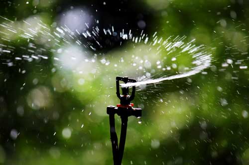 Sprinkler_Irrigation