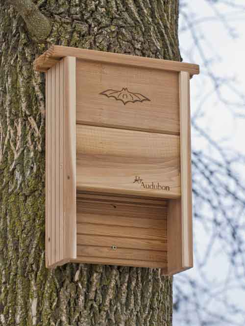 bat-house