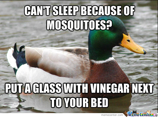 glass of vinegar mosquito repellent?